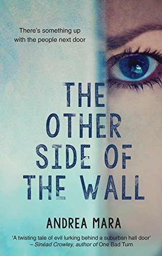 The Other Side Of The Wall book cover