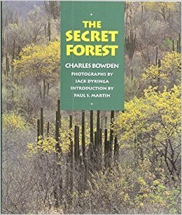 The Secret Forest book cover