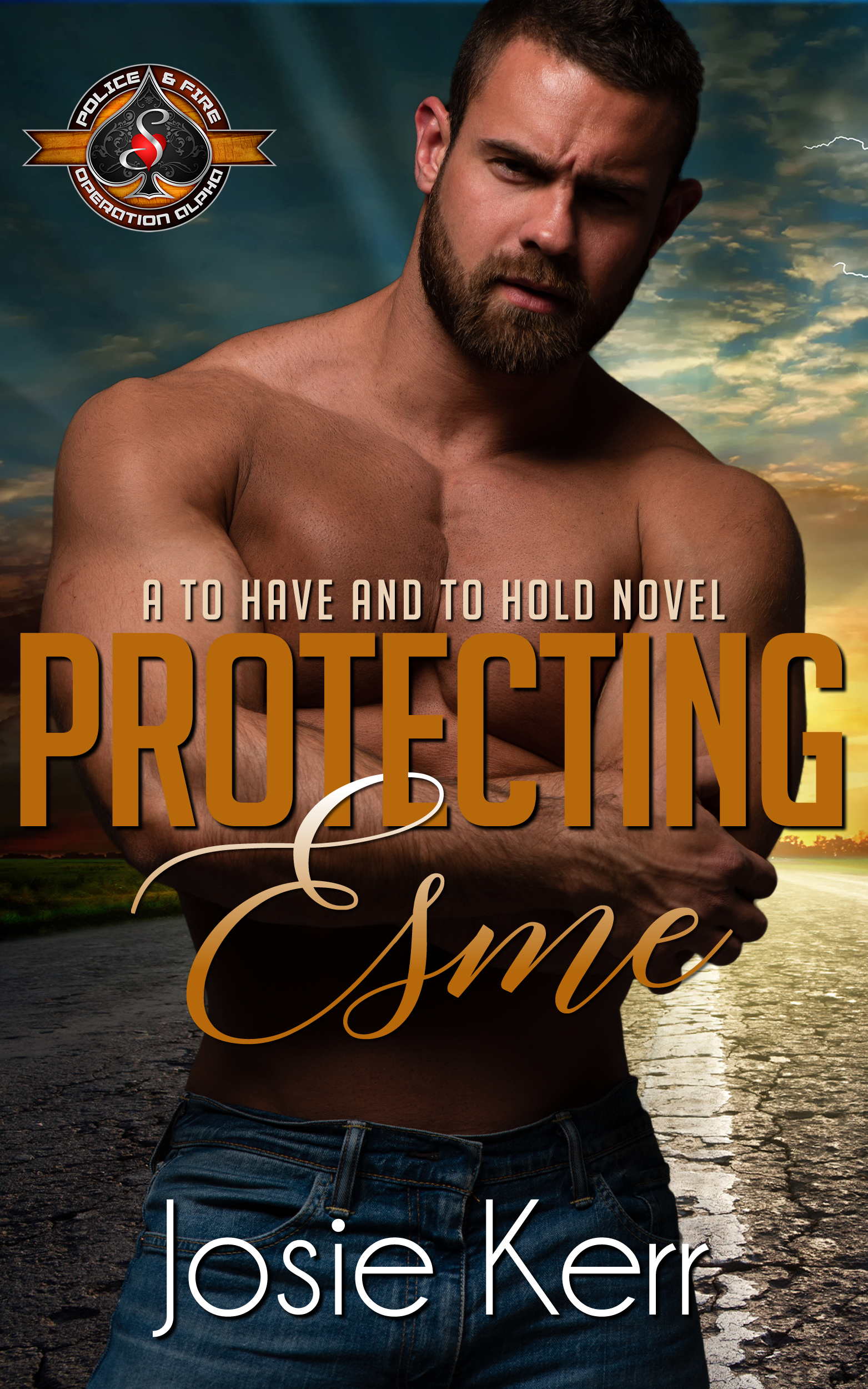 To Have and To Hold book cover 1