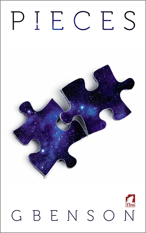 Pieces book cover