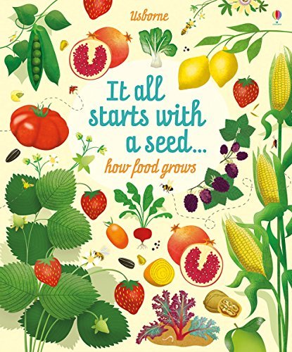 Usborne Big Picture Book How Food Grows book cover