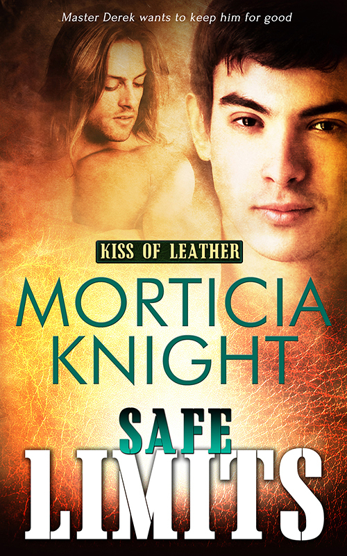 Kiss of Leather book cover 2