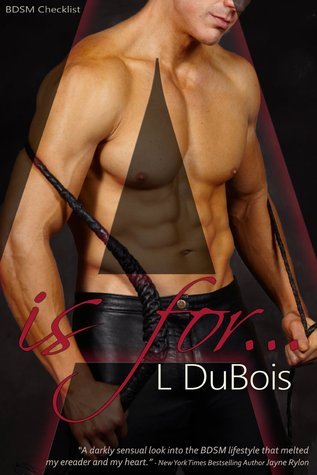 BDSM Checklist book cover 1