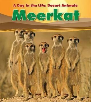 Meerkat book cover
