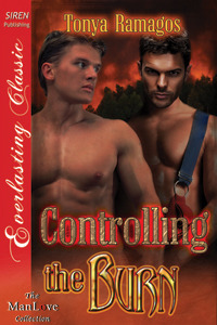 Controlling the Burn book cover