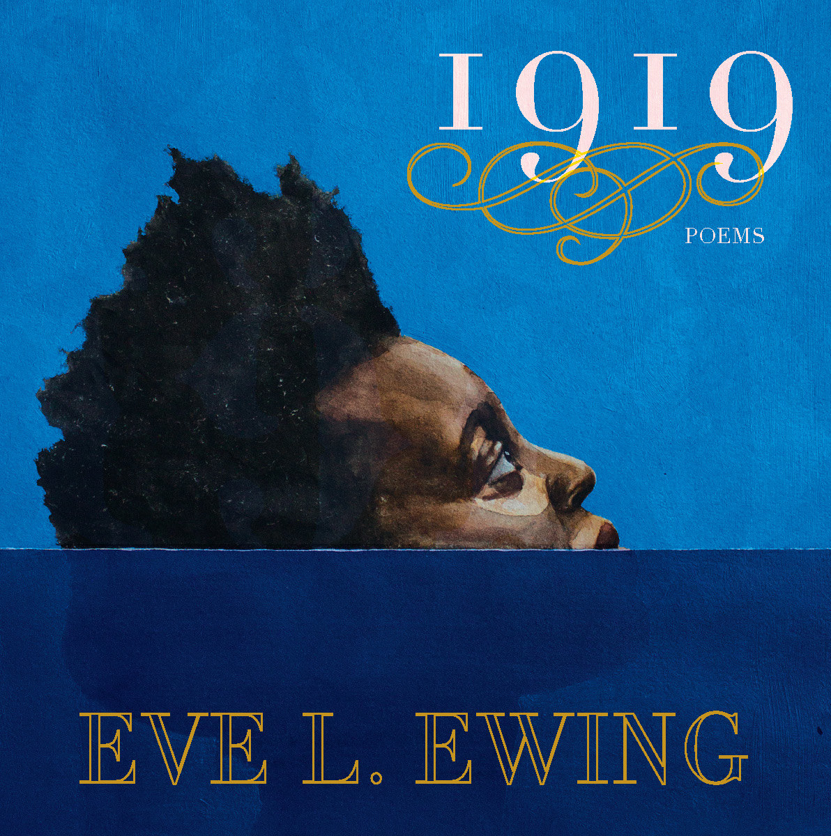 1919 book cover