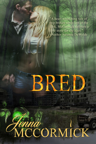 B Cubed book cover 2