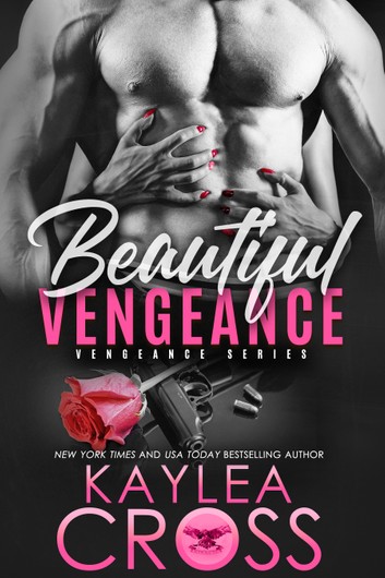 Beautiful Vengeance book cover