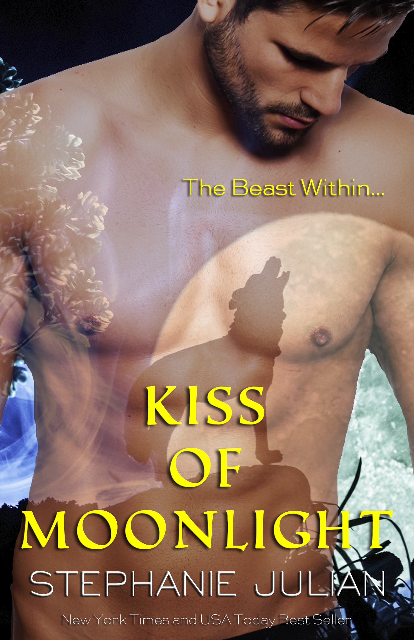 Moonlight Lovers book cover 1