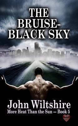 The Bruise-Black Sky book cover