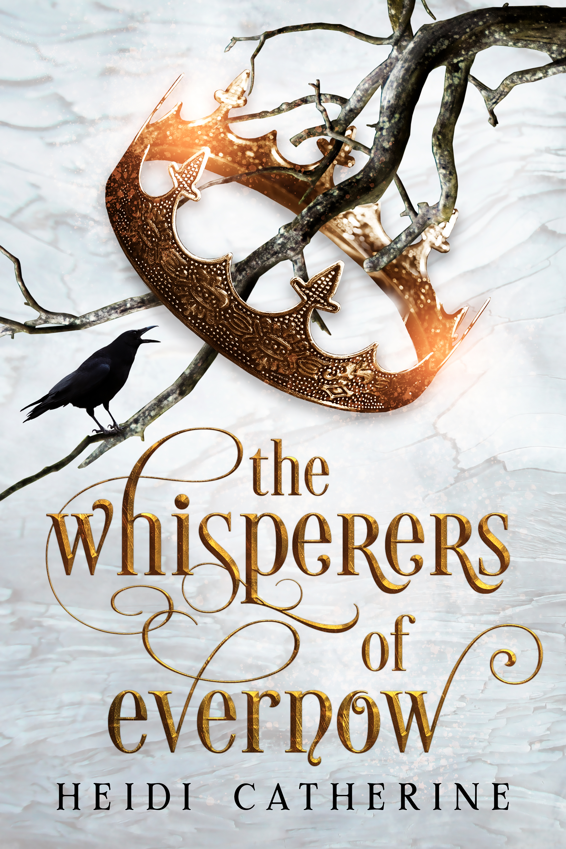 The Kingdoms of Evernow book cover 1