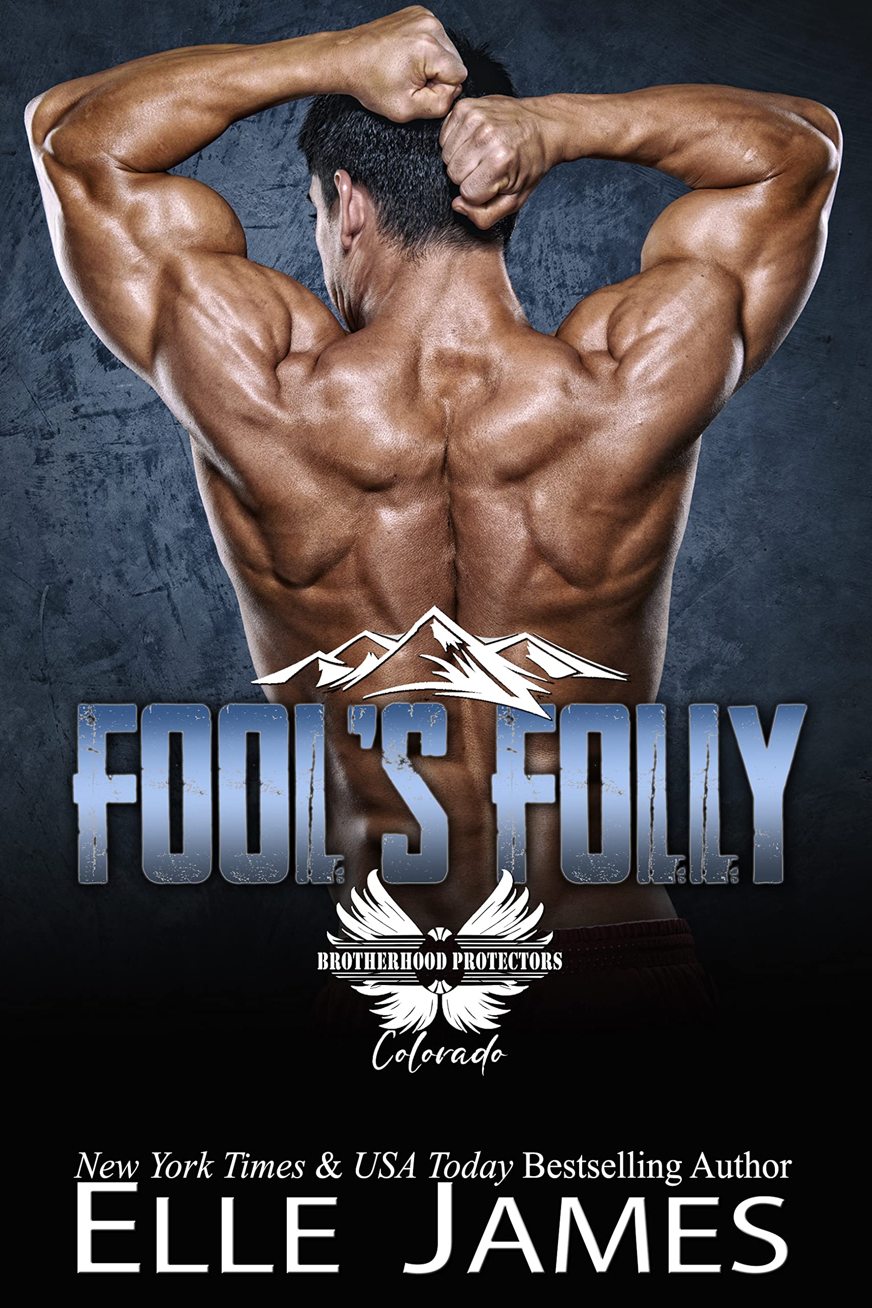 Fool's Folly book cover