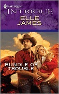 Bundle of Trouble book cover