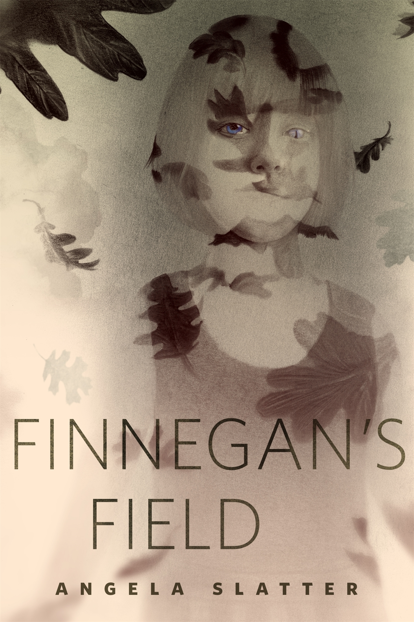 Finnegan's Field book cover