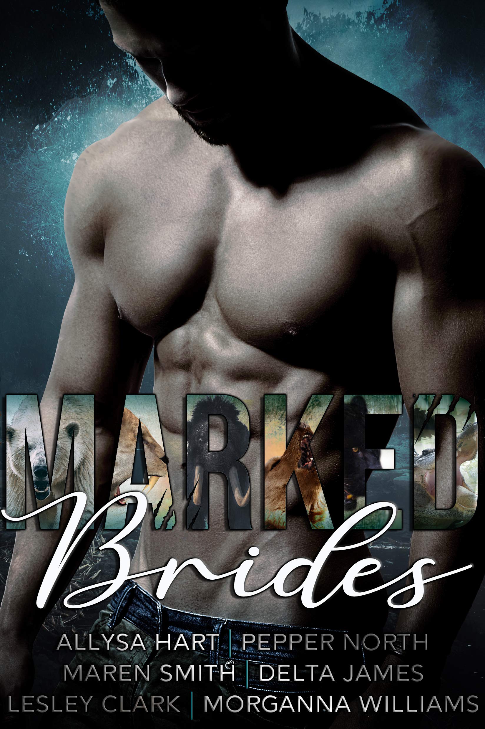 Marked Brides book cover
