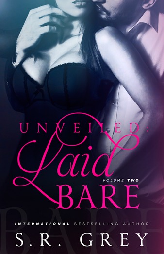 Laid Bare book cover 2