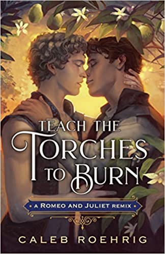 Teach the Torches to Burn book cover