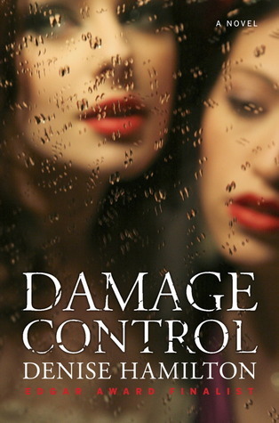 Damage Control book cover