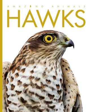 Hawks book cover