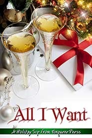 Christmas Wish book cover