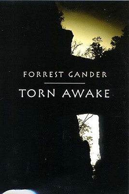 Torn Awake book cover