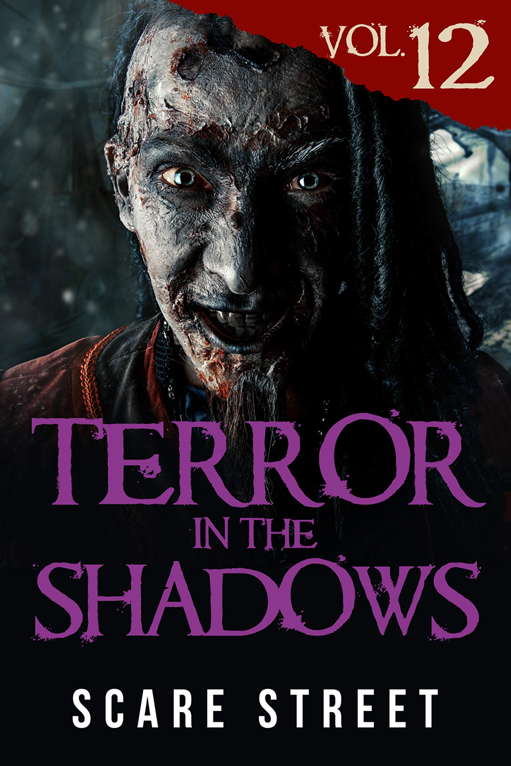 Terror in the Shadows Vol. 12 book cover