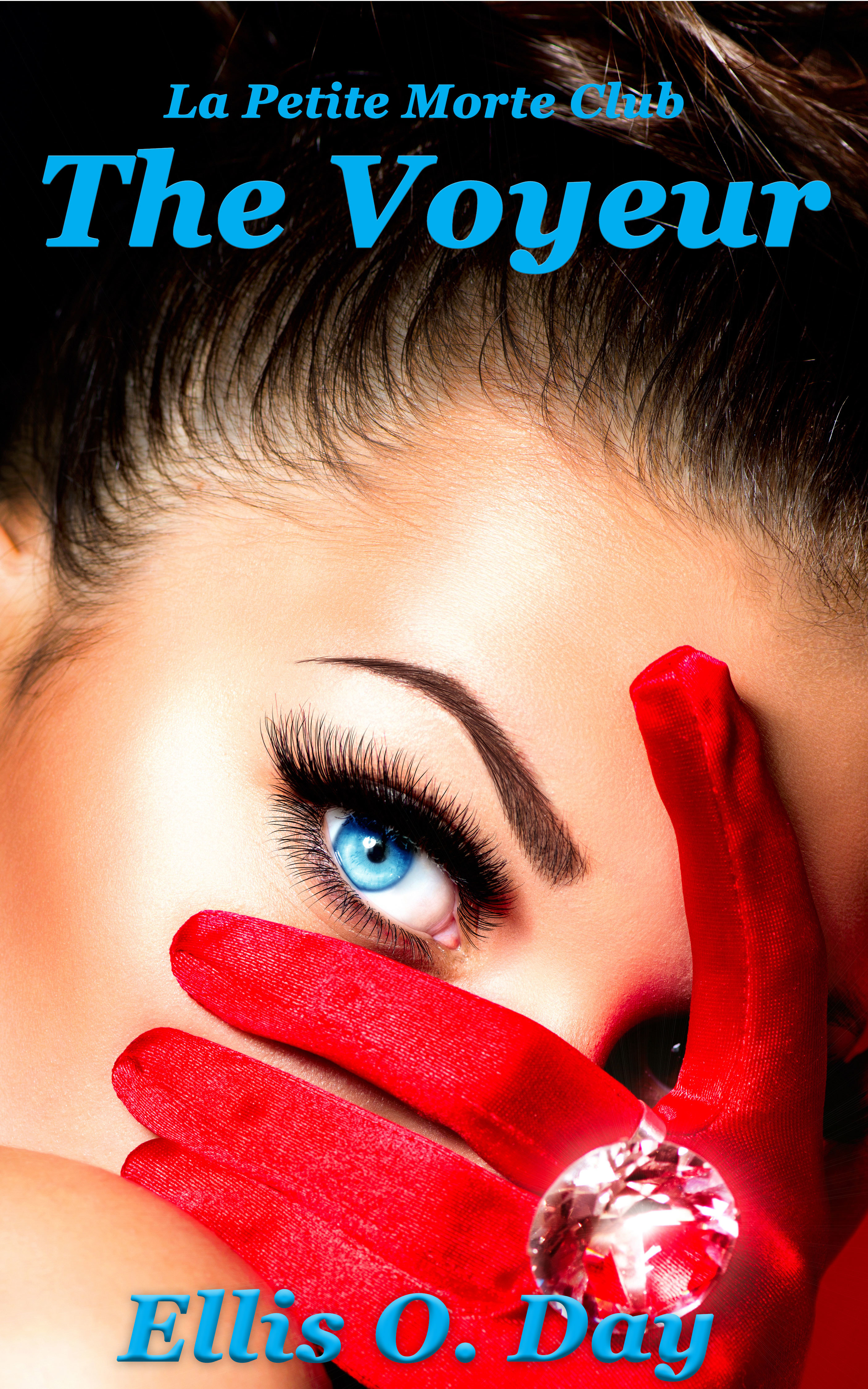 The Voyeur book cover 1