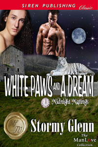White Paws and a Dream book cover