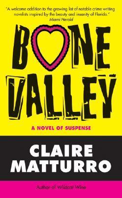 Lilly Cleary book cover 3