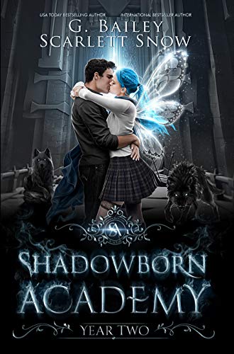 Dark Fae Academy book cover 2