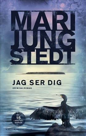 Jag ser dig book cover