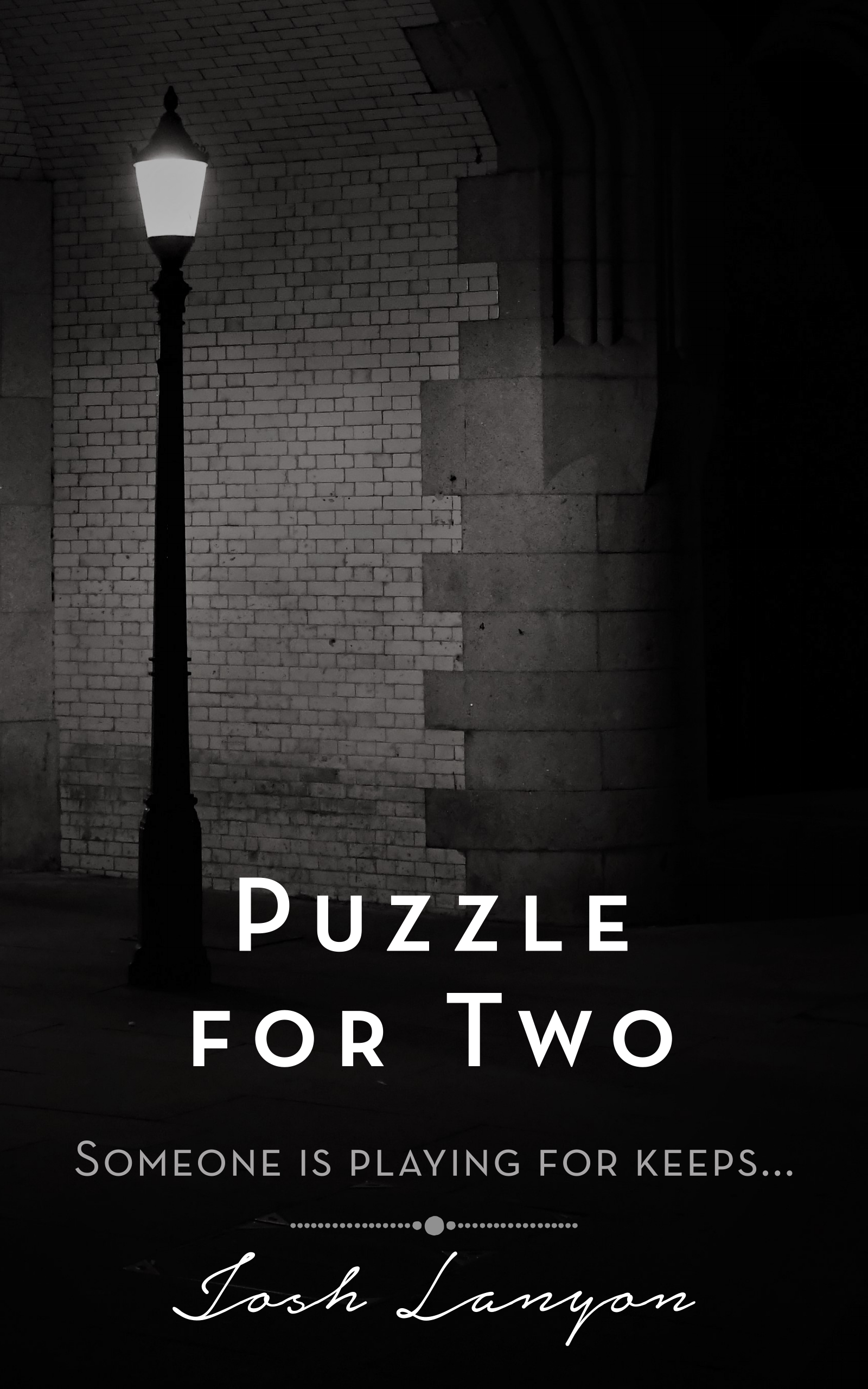 Puzzle for Two book cover