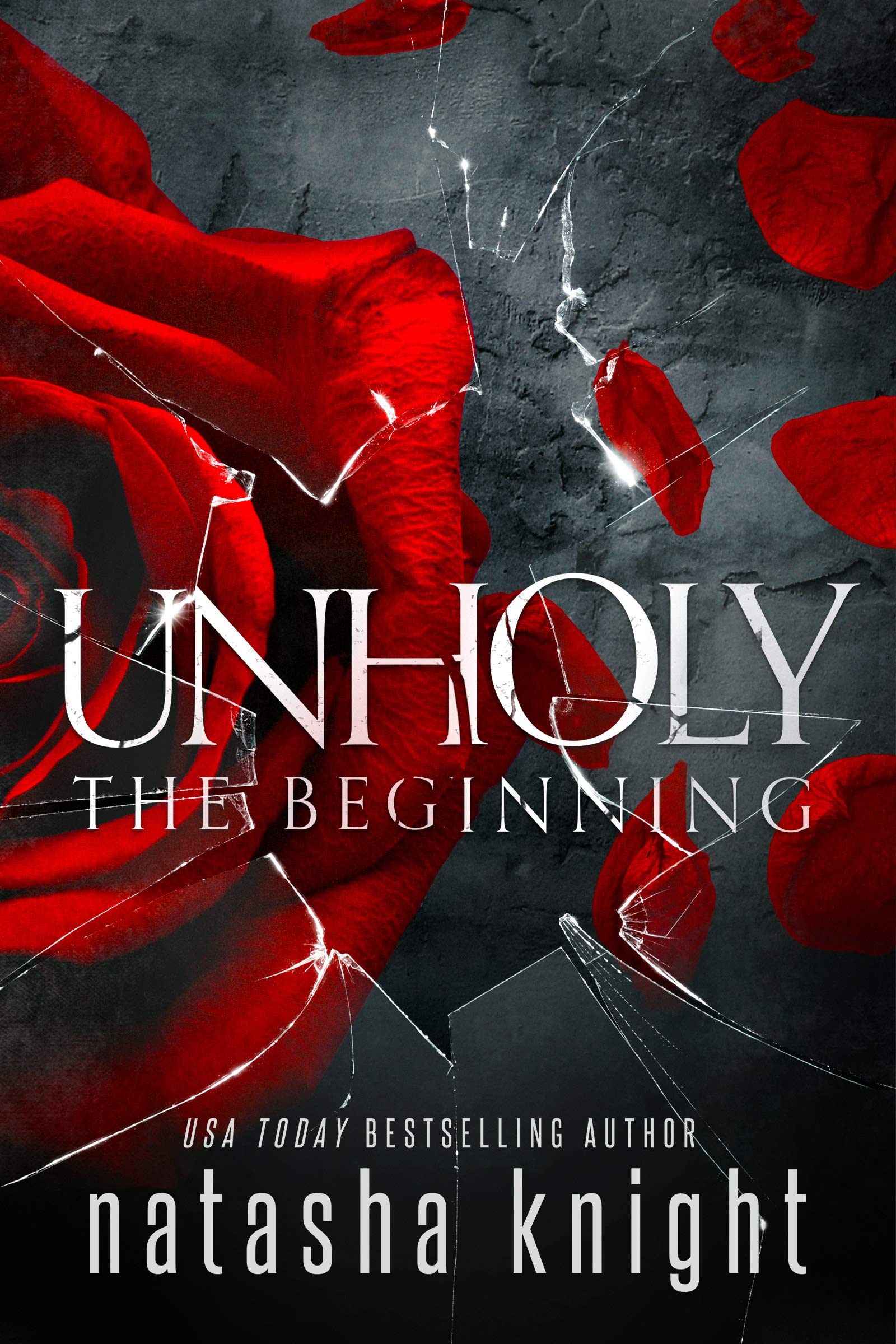 Unholy book cover