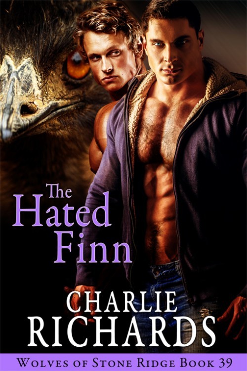 The Hated Finn book cover