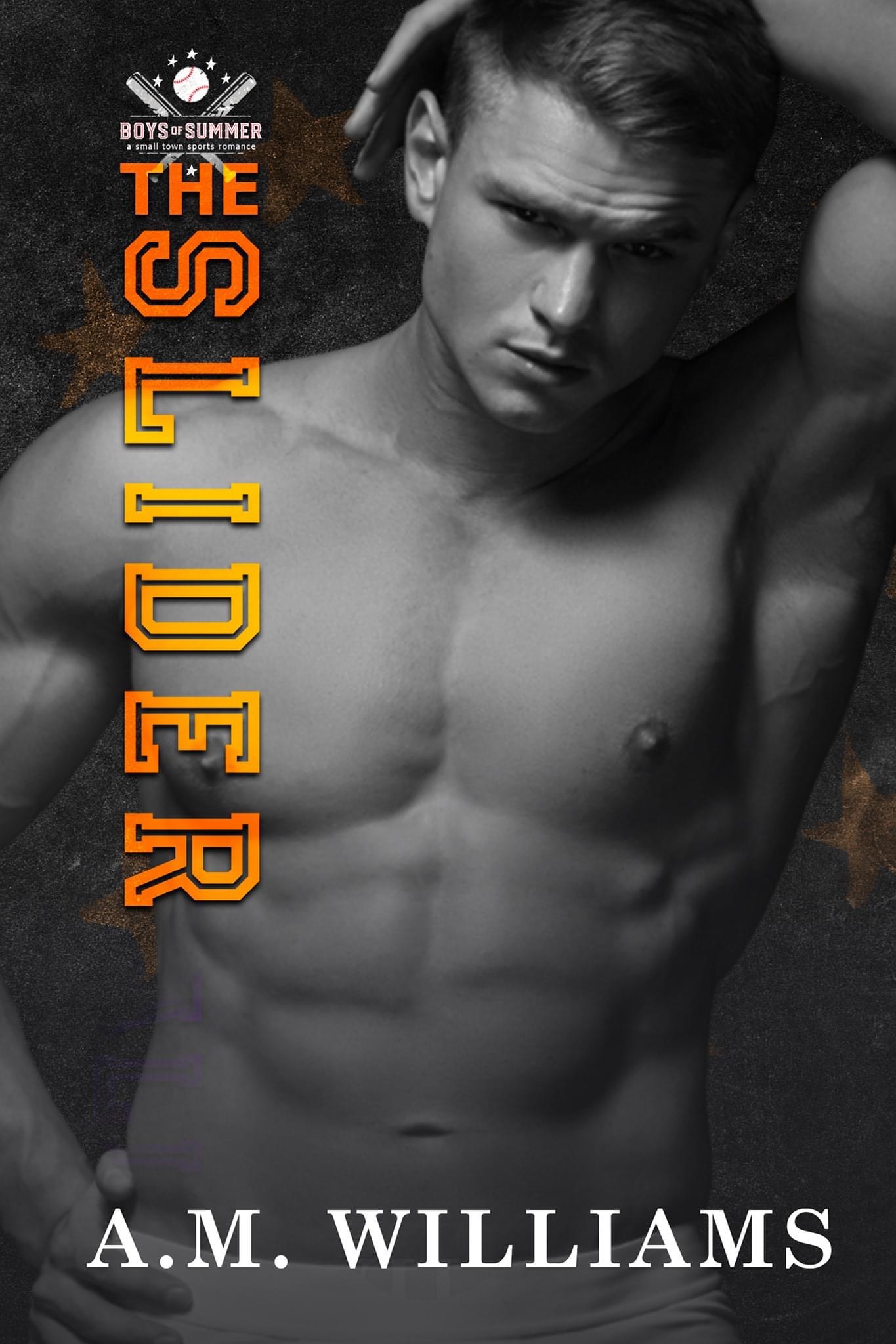 The Slider book cover