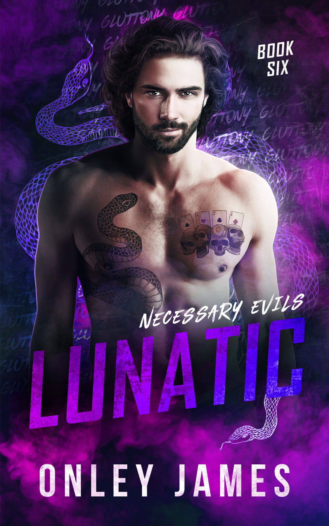 Lunatic book cover