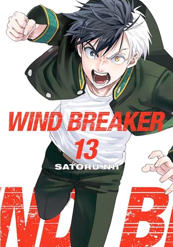 WIND BREAKER Vol. 13 book cover