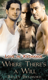 Where There's A Will book cover