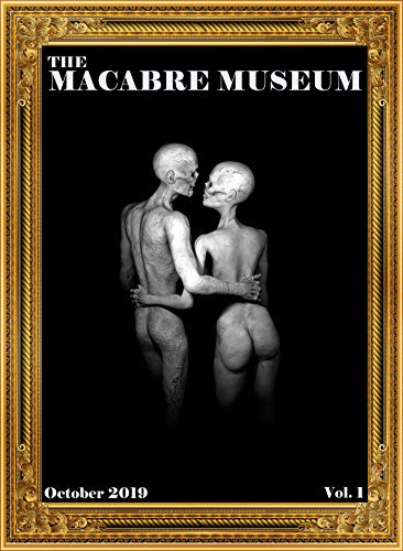 The Macabre Museum book cover