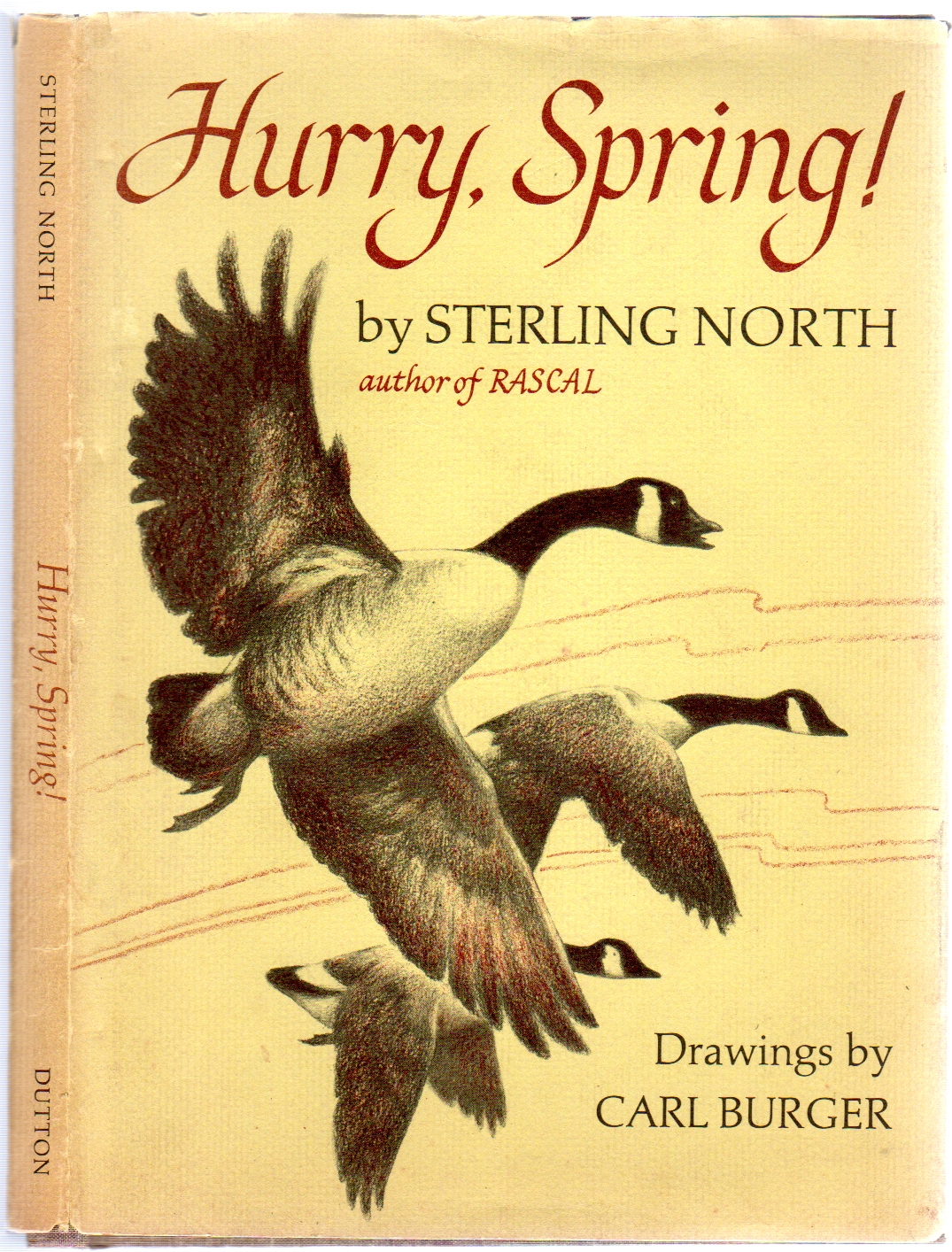 Hurry, Spring! book cover