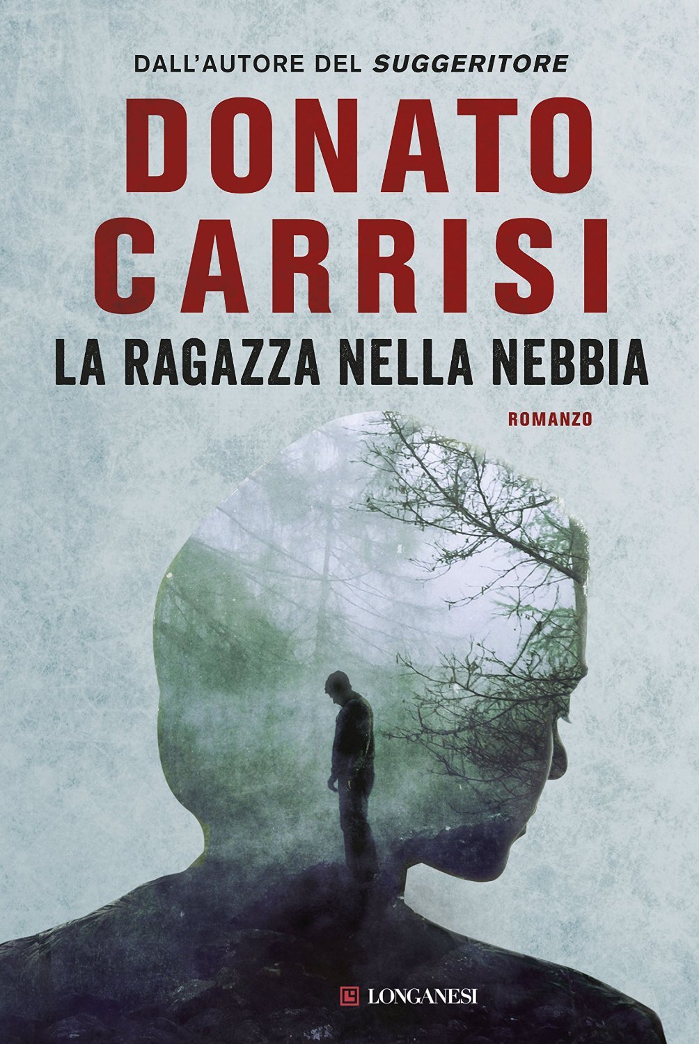 La ragazza nella nebbia book cover