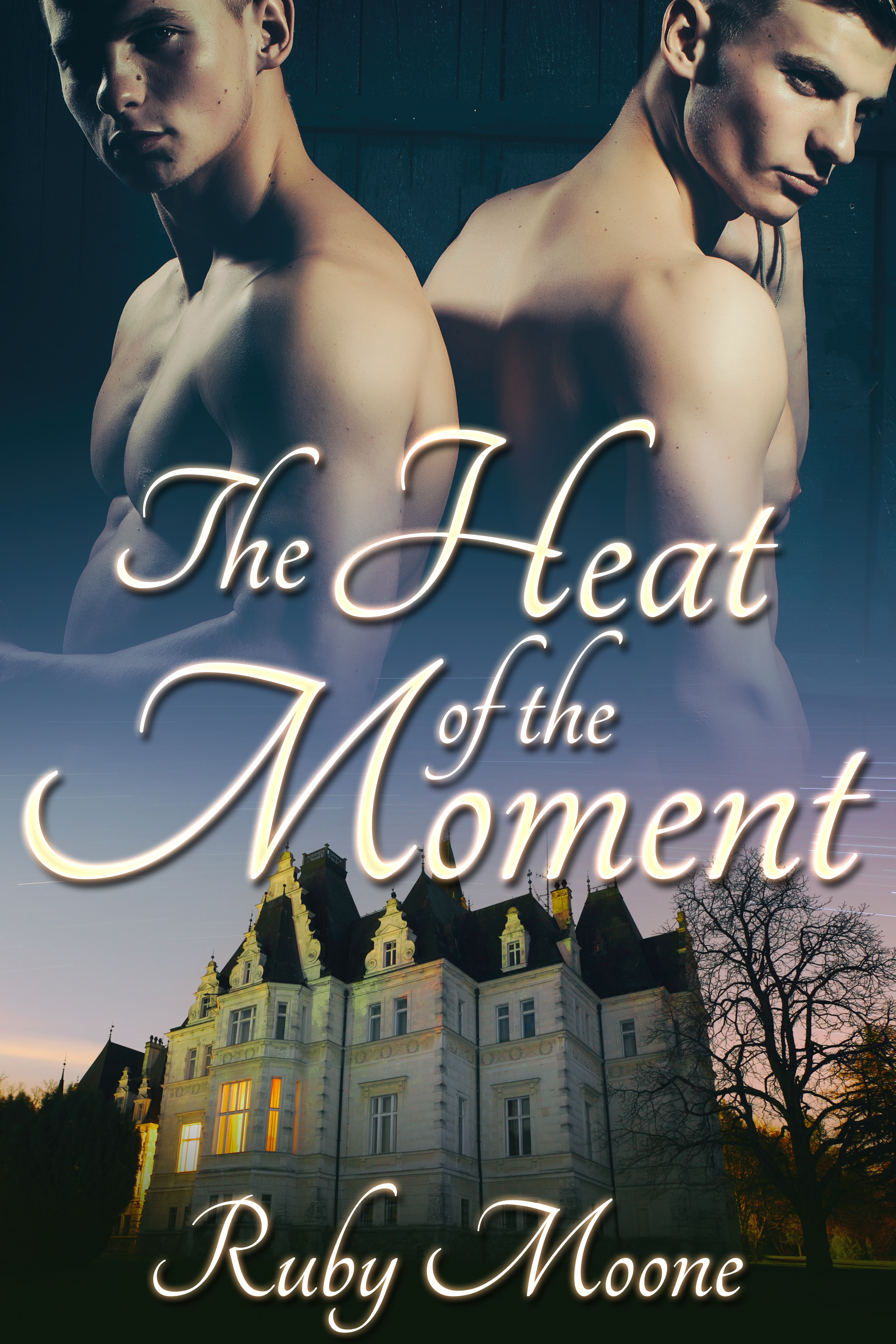 The Heat of the Moment book cover