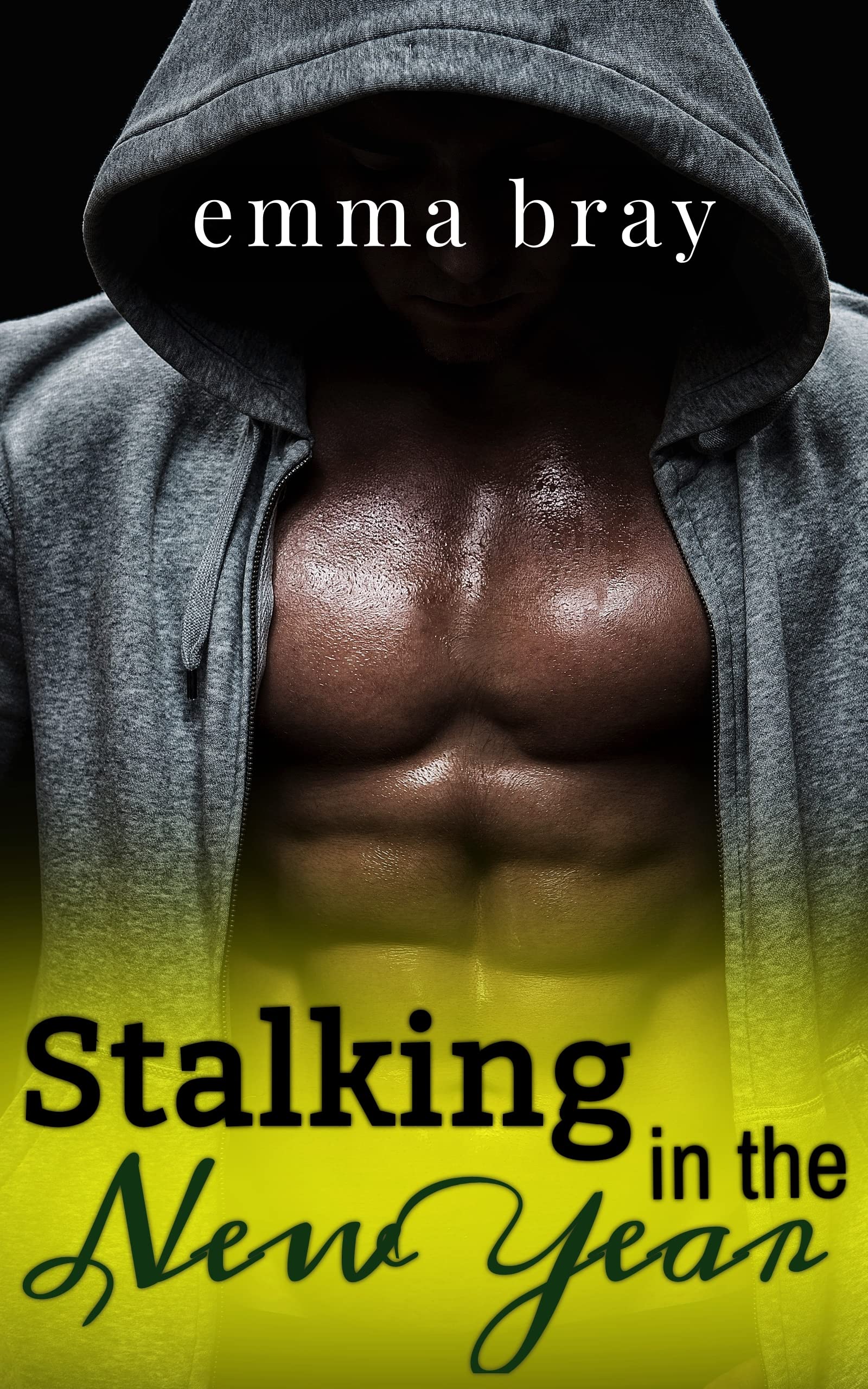 Stalking in the New Year book cover