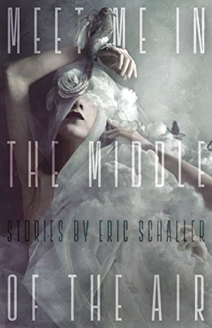 Meet Me in the Middle of the Air book cover