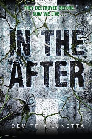In the After book cover 1
