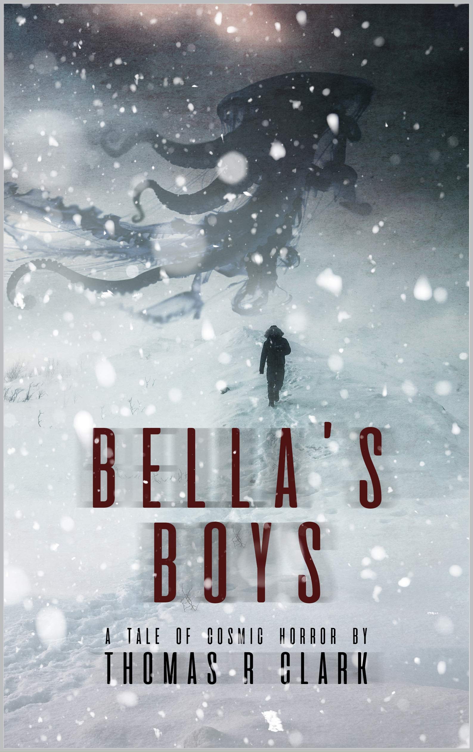 Bella's Boys book cover