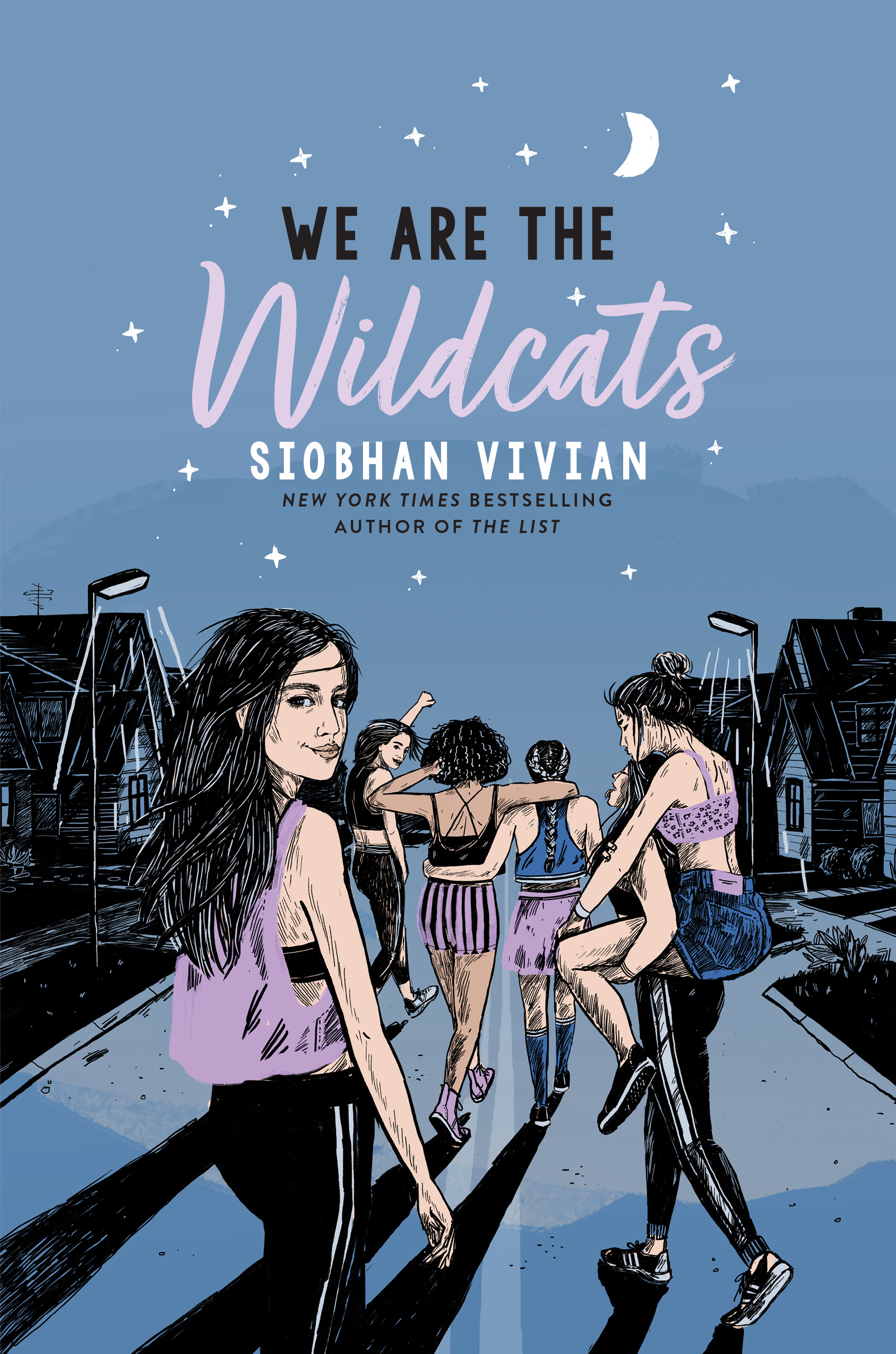 We Are the Wildcats book cover