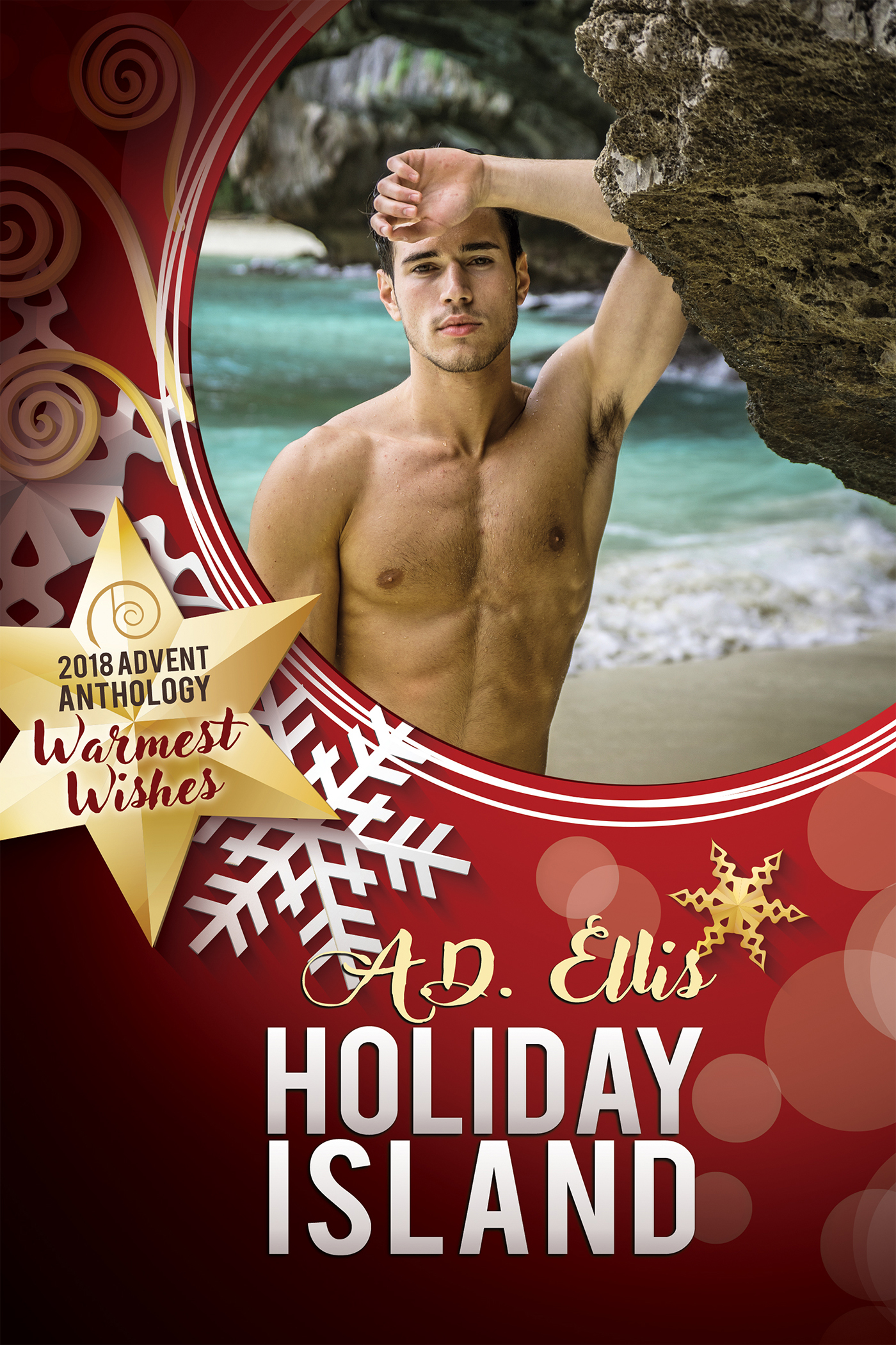 Holiday Island book cover