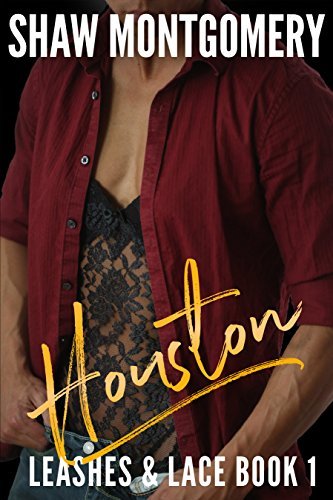 Leashes & Lace book cover 1