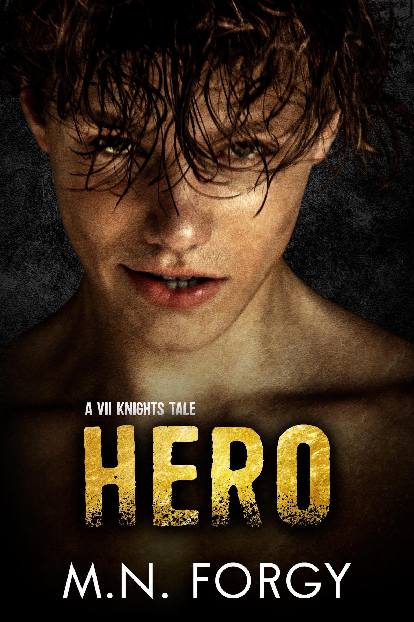 Hero book cover